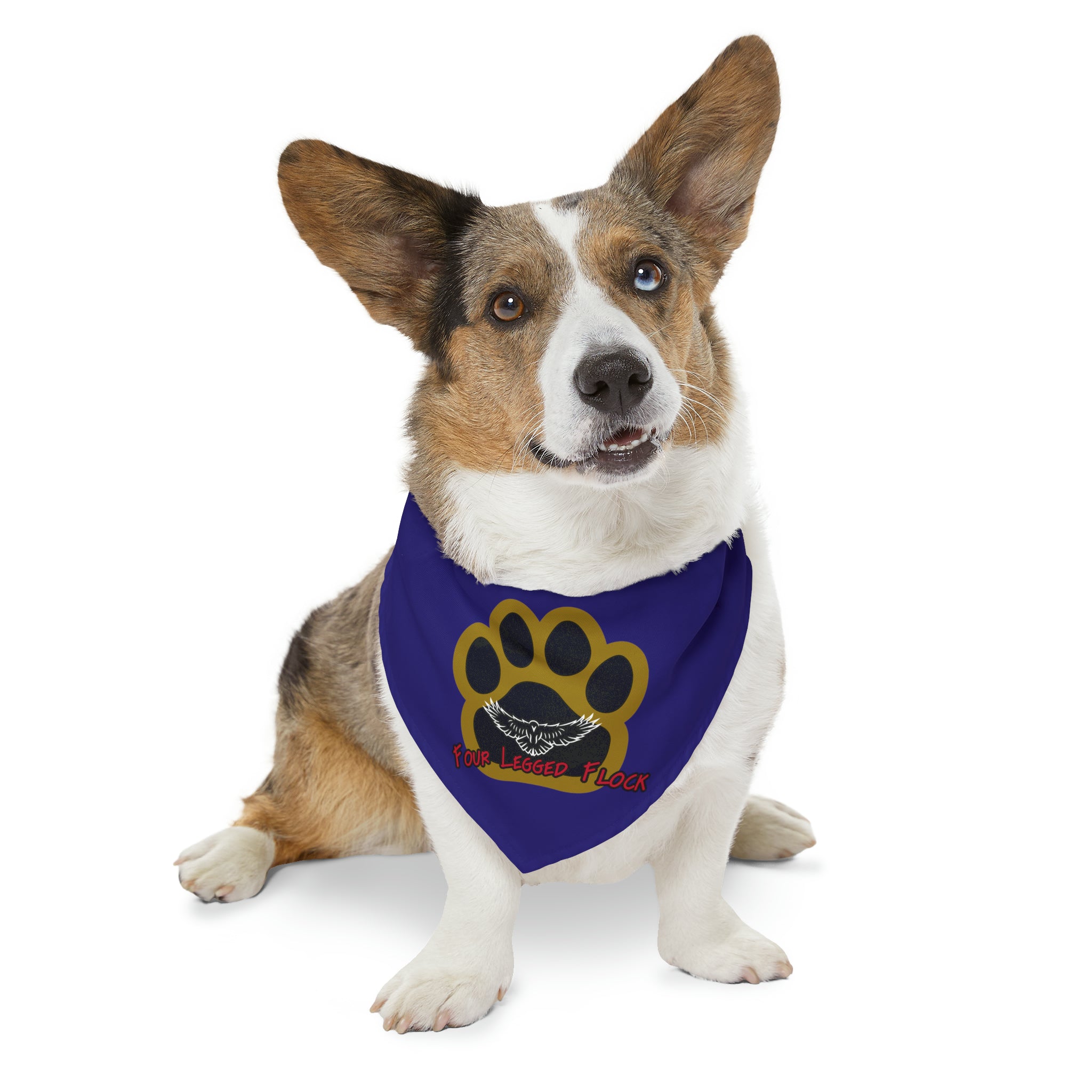 Baltimore Football Pet Bandana | Four Legged Flock Pet Bandana Collar | Free Shipping!