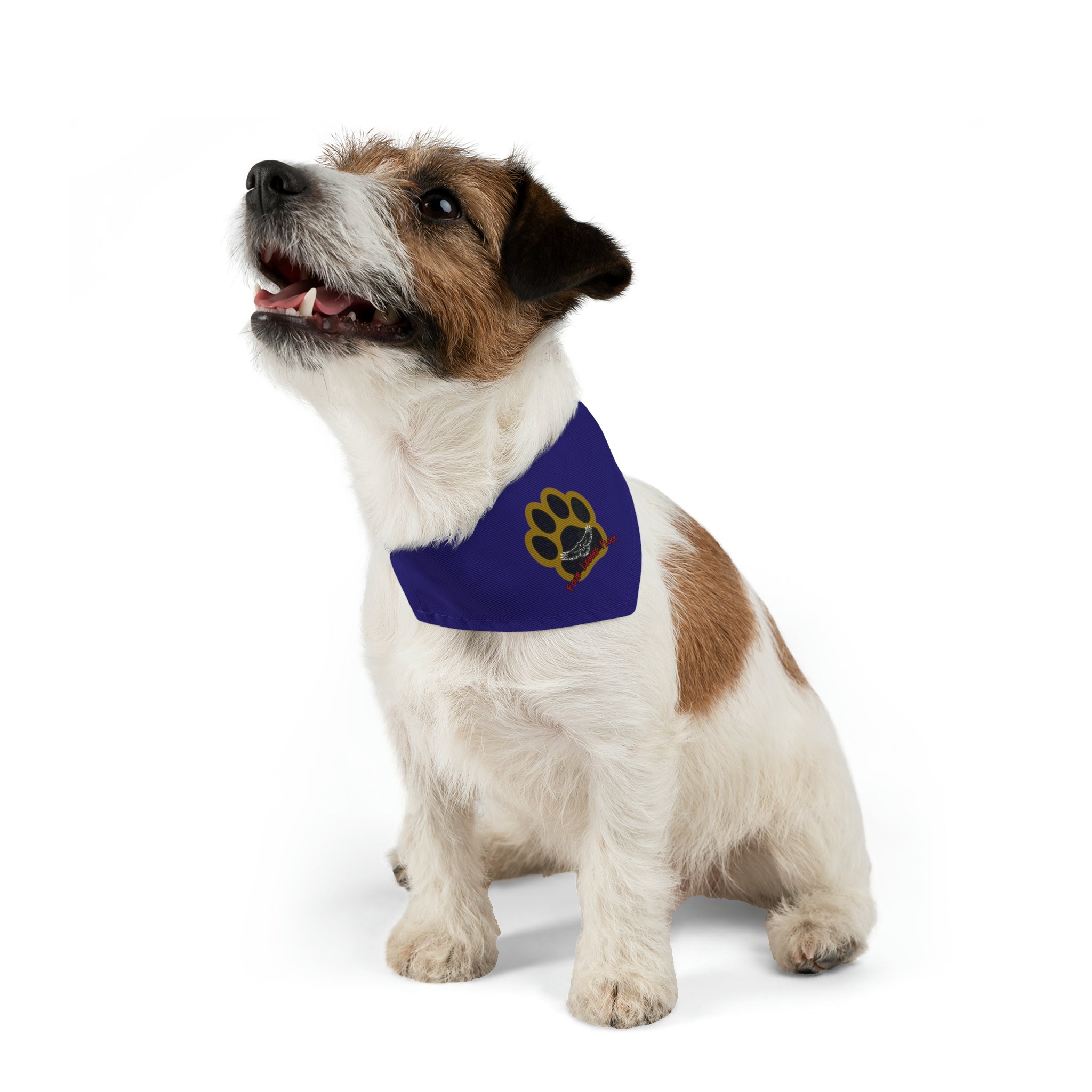 Baltimore Football Pet Bandana | Four Legged Flock Pet Bandana Collar | Free Shipping!