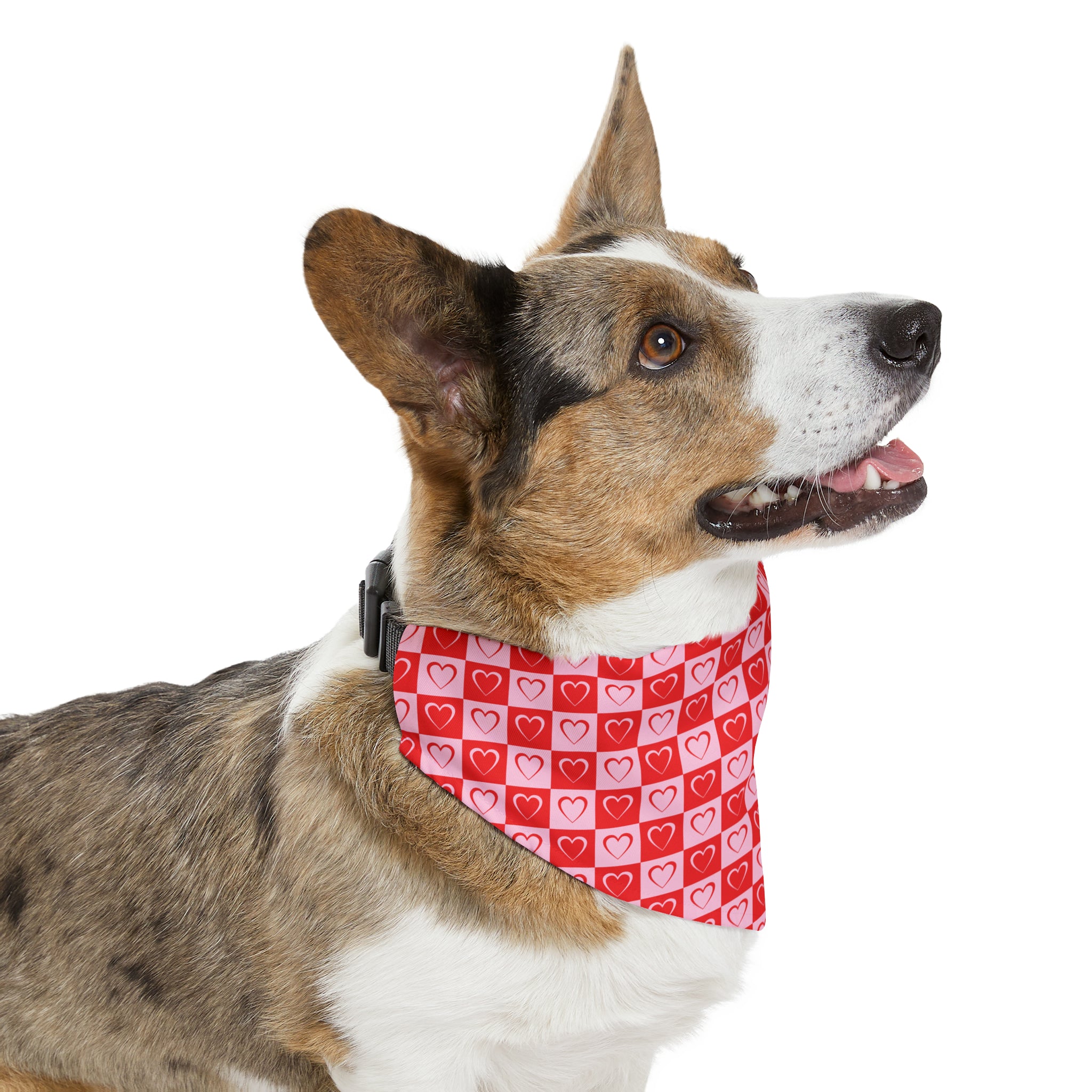 Valentine's Day Pet Bandana Collar | Comes in Different Sizes for Different Breeds | Free Ship