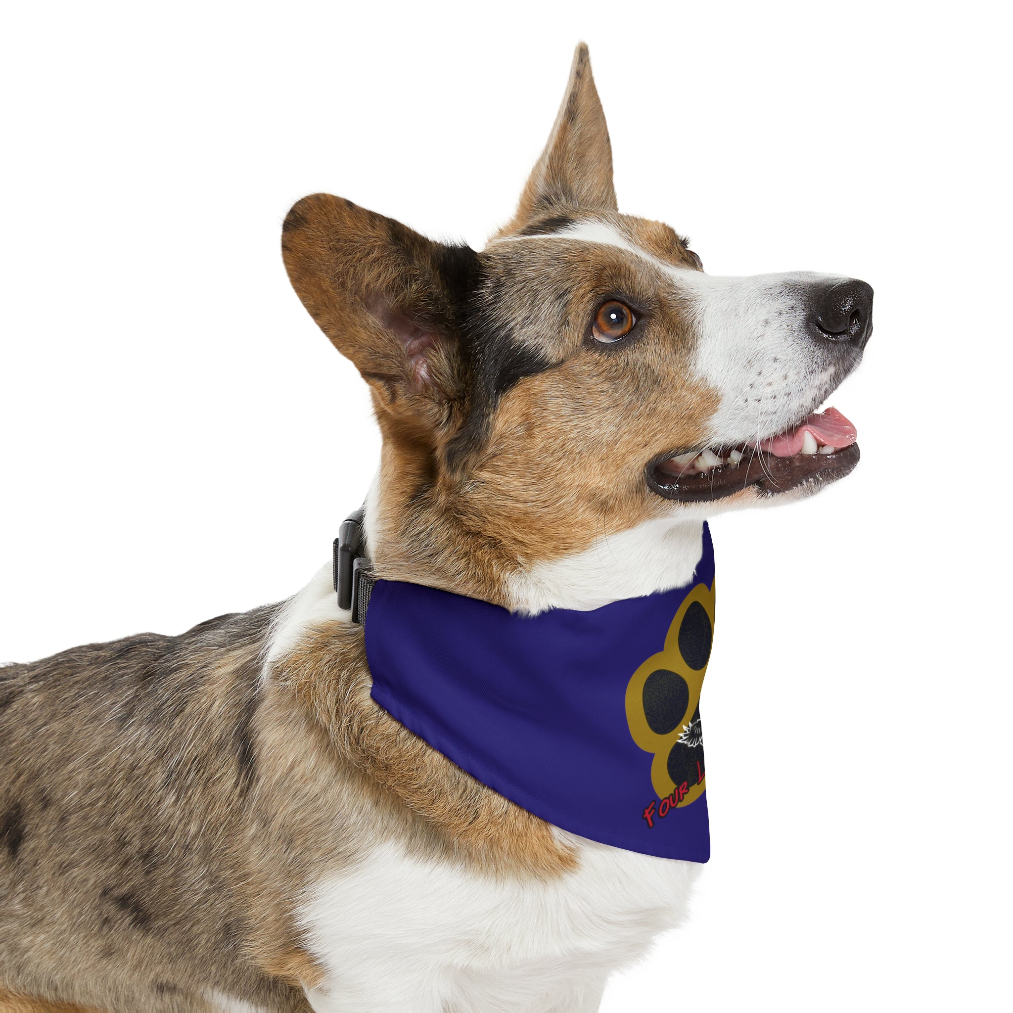 Baltimore Football Pet Bandana | Four Legged Flock Pet Bandana Collar | Free Shipping!